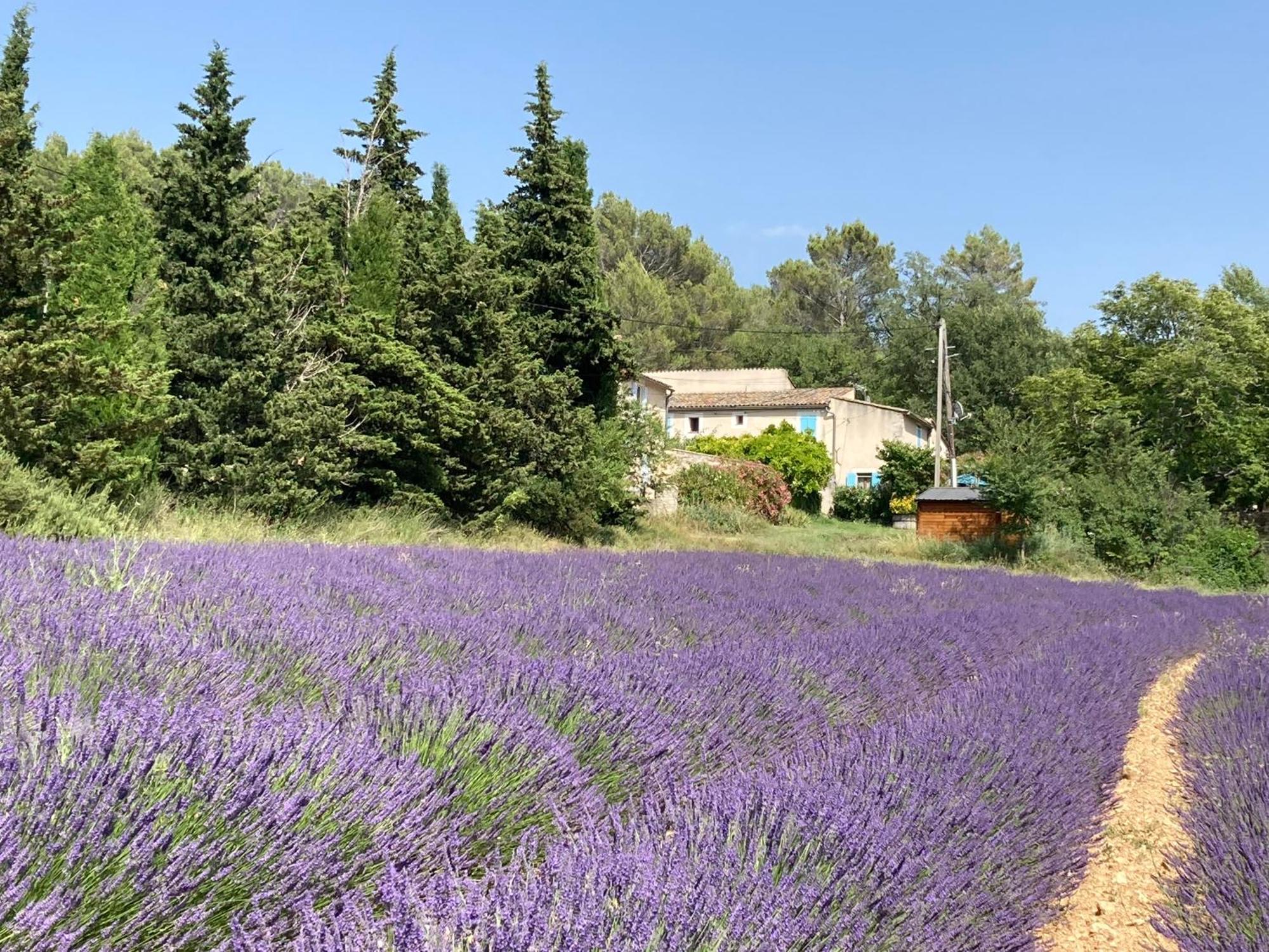 吕斯特勒Maison Au Colorado Provencal别墅 外观 照片